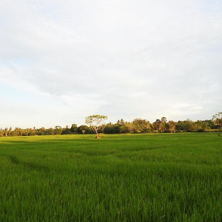 Green Sapphire Holiday Resort Wilpaththu ウィルパットゥ エクステリア 写真