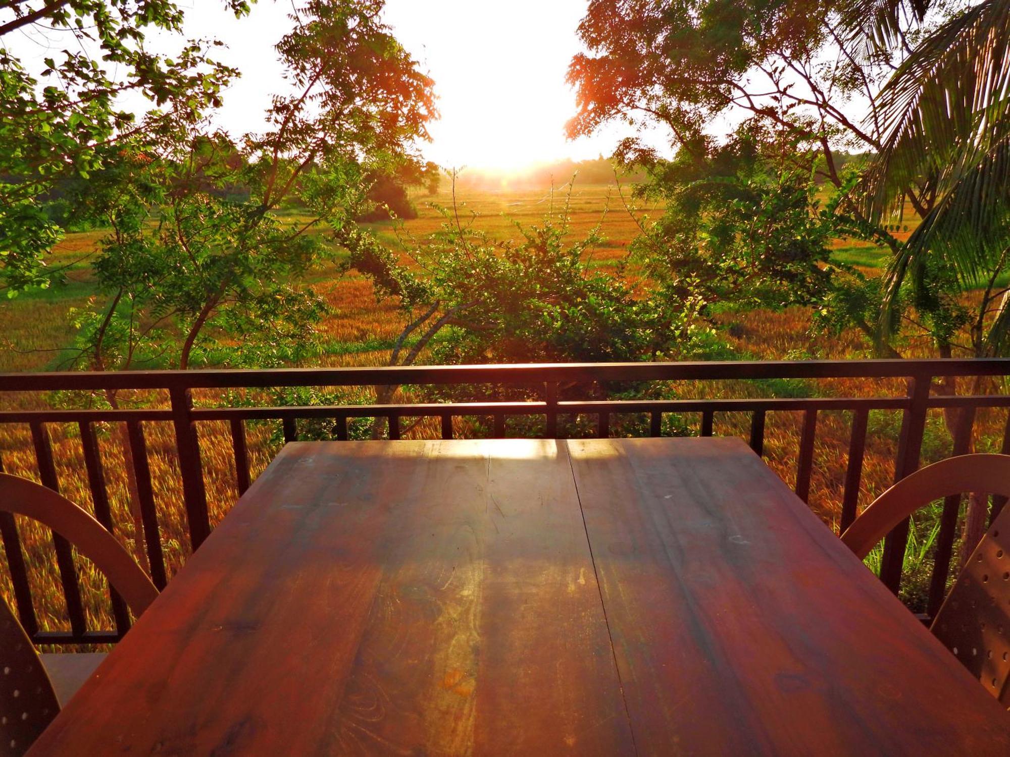 Green Sapphire Holiday Resort Wilpaththu ウィルパットゥ エクステリア 写真